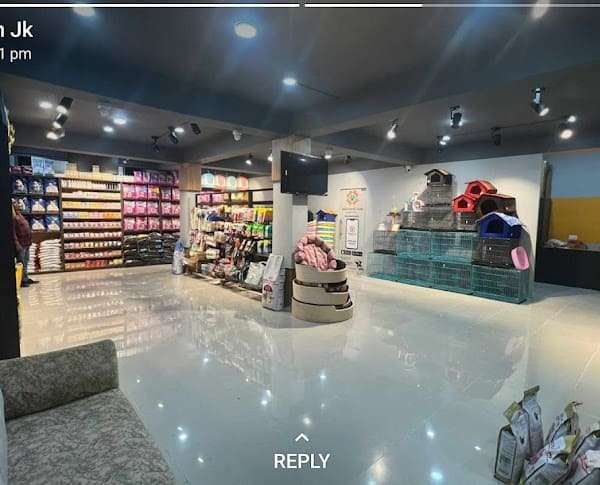 Top 10 Best Pet Shops in Chandigarh