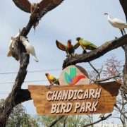 Bird Park Chandigarh