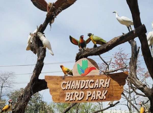 Bird Park Chandigarh