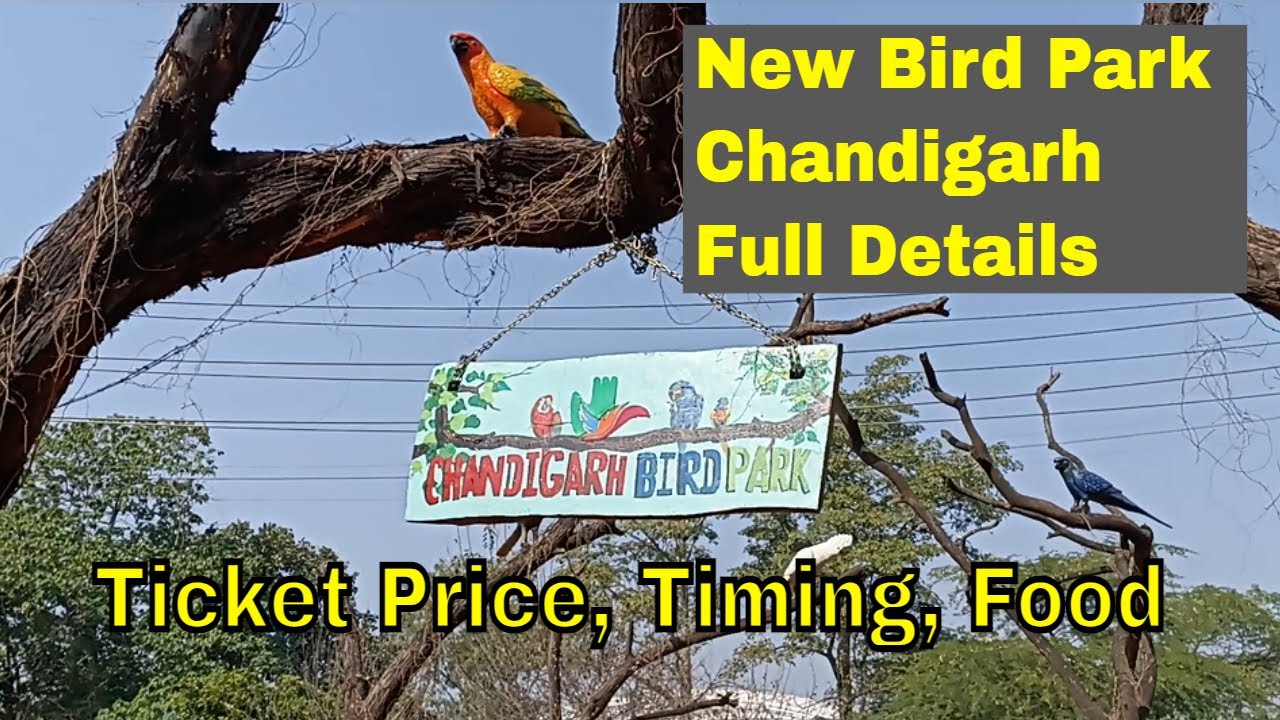 bird park
