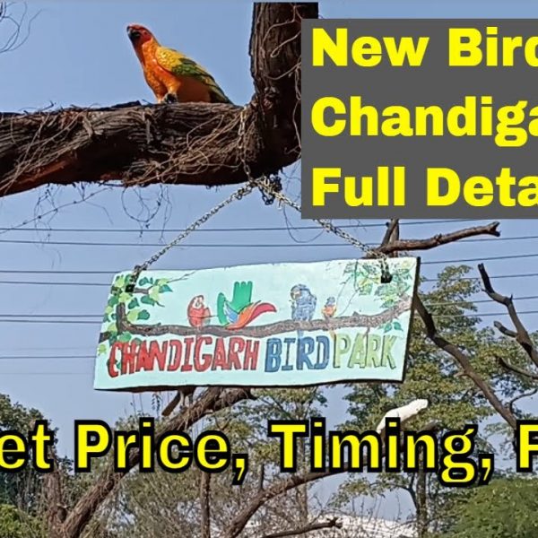 Bird Park Chandigarh
