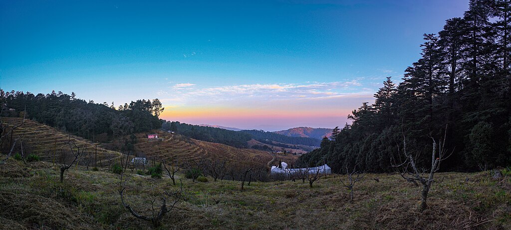 ranikhet height from sea level, ranikhet altitude, ranikhet elevation above sea level, height of ranikhet hill station, ranikhet height in meters, ranikhet height in feet