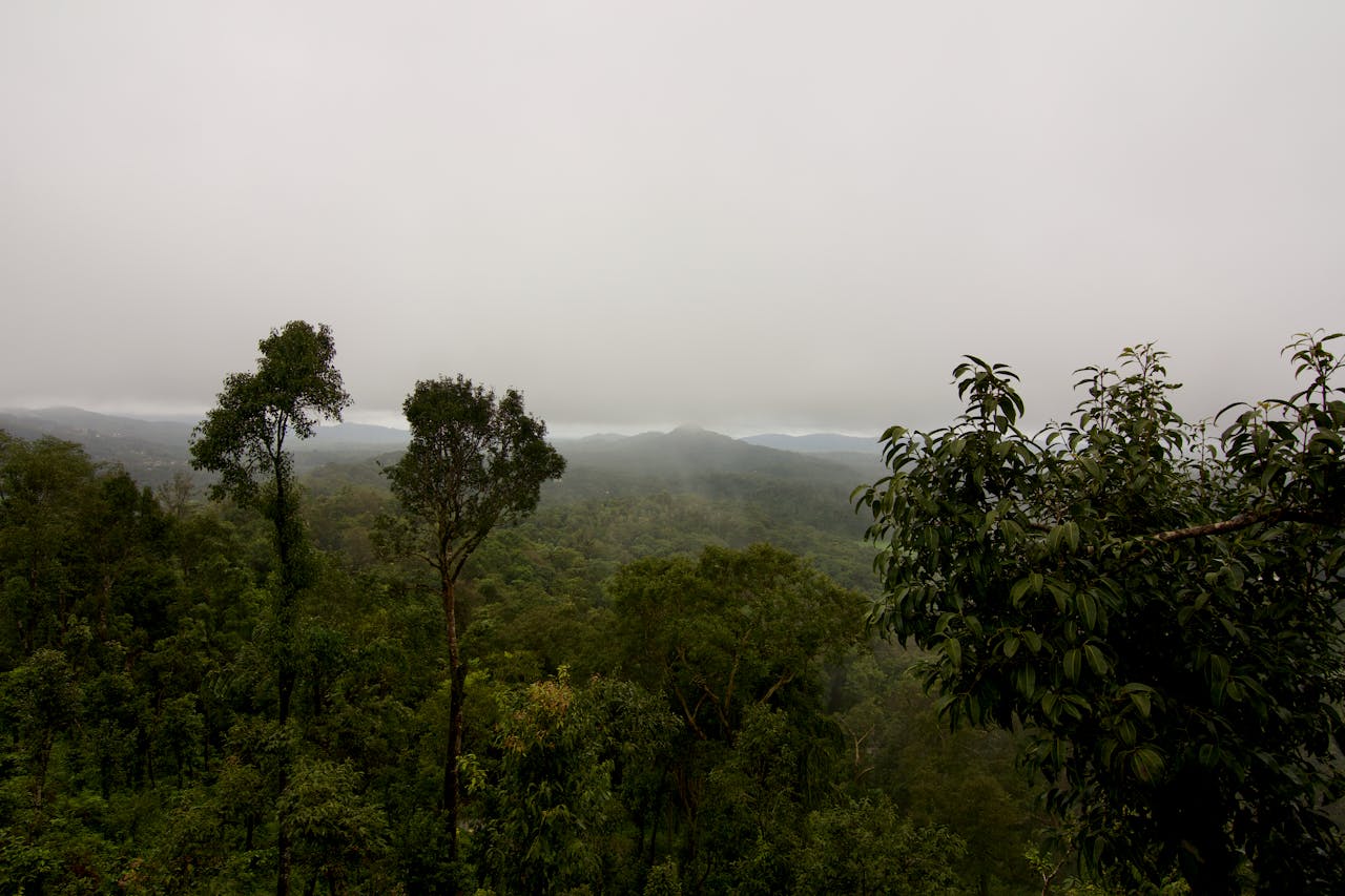 Coorg Height From Sea Level