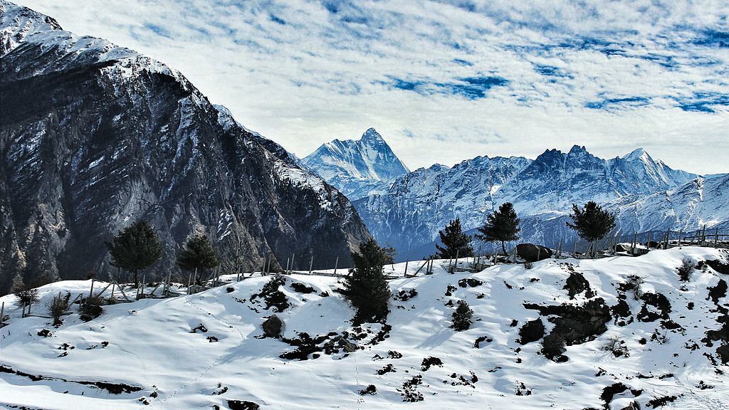 auli height from sea level, auli altitude, height of auli from sea level, auli elevation in meters, auli height in feet, auli hill station height, auli skiing altitude, auli weather by altitude, auli snowfall height, auli location elevation