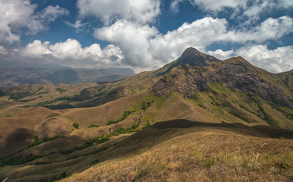 highest peak in south india, which is the highest peak in south india, highest mountain peak in south india, what is the highest peak in south india, anamudi height, anamudi peak kerala, highest peak of south india name, western ghats highest peak, tallest peak in south india, south india geography peaks, highest peak in peninsular india