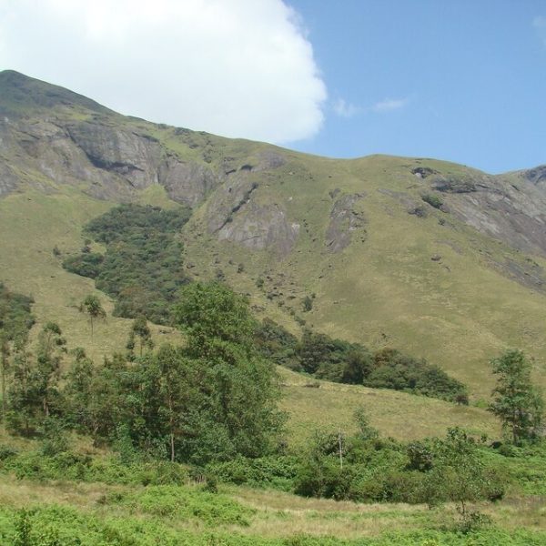 Highest Peak in South India – 7 Powerful Facts You Must Know