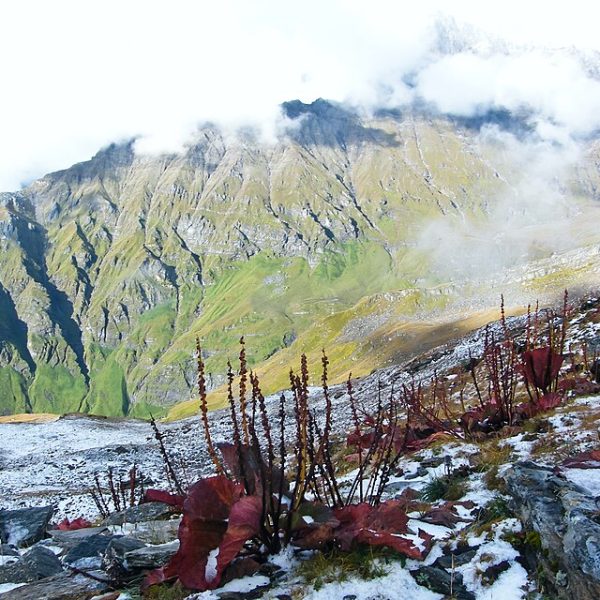 Chamoli Height From Sea Level – 9 Powerful Facts You Must Know