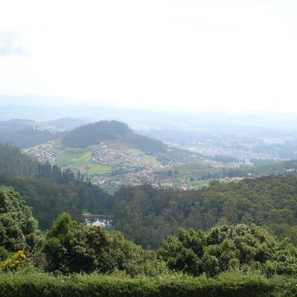 Kotagiri Height From Sea Level – Altitude, Climate, Travel Guide & Things to Do