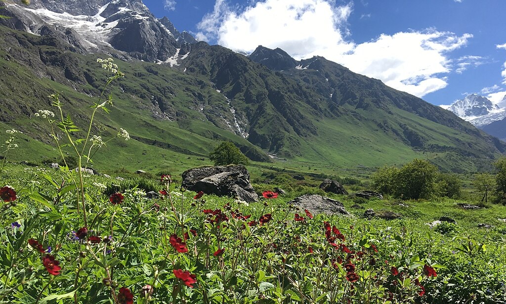 chamoli height from sea level, chamoli altitude, chamoli elevation, chamoli height in meters, chamoli height in feet, chamoli above sea level, chamoli district altitude, chamoli town height, gopeshwar height from sea level, auli height from sea level, badrinath height from sea level, valley of flowers height, hemkund sahib height, chamoli climate by altitude, chamoli geography, chamoli tourism guide, best time to visit chamoli, chamoli travel information, uttarakhand hill districts height, garhwal himalayas altitude