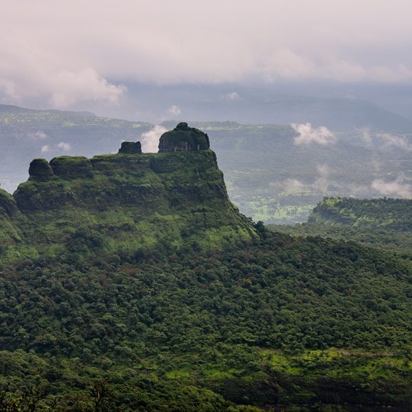 Bhimashankar Height From Sea Level – Altitude, Climate, Travel Guide & Things to Do